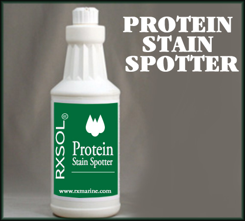 Protein Stain Spotter